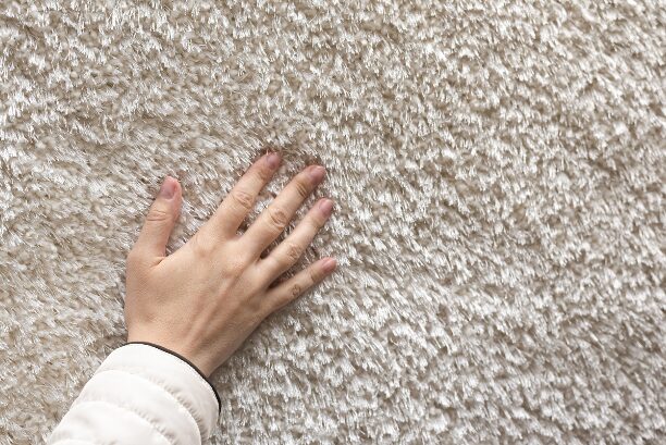 Living Room Carpet